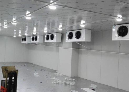  定制建造600m3生物制品低溫倉庫設備費用是多少？