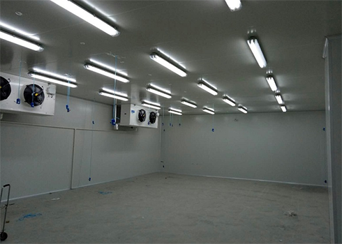  藥店陰涼庫建造?一般需要多少面積？