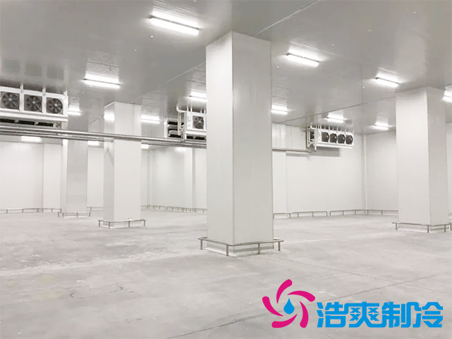 藥品冷庫安裝要求及設計標準規(guī)范