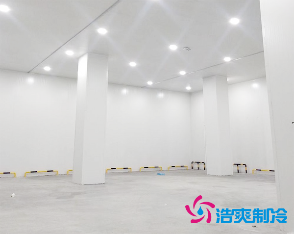  智能自動化體外診斷試劑冷庫倉儲定制專業(yè)廠家