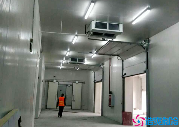  湖南GSP醫(yī)藥冷庫(kù)建設(shè)方案