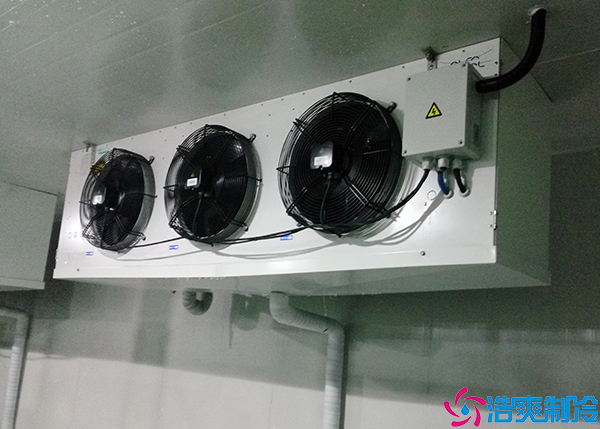 福建血漿冷庫建造需要多少錢？