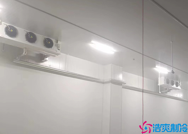  張家界藥品冷藏冷庫施工項目有哪些內(nèi)容？
