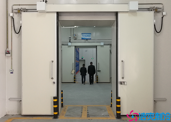  常德醫(yī)療冷庫施工設計方案