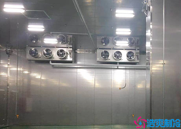  郴州藥品冷藏庫(kù)建造項(xiàng)目有哪些？