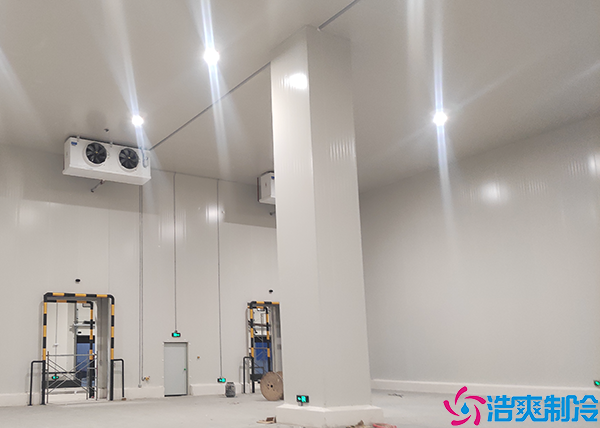  永州小型醫(yī)藥冷庫建設(shè)項目有哪些內(nèi)容？
