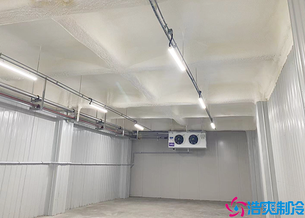  永州小型醫(yī)藥冷庫造價(jià)多少錢一平方？