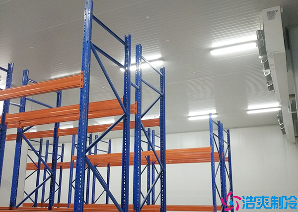  湘西小型醫(yī)藥冷庫施工項(xiàng)目有哪些內(nèi)容和要求？
