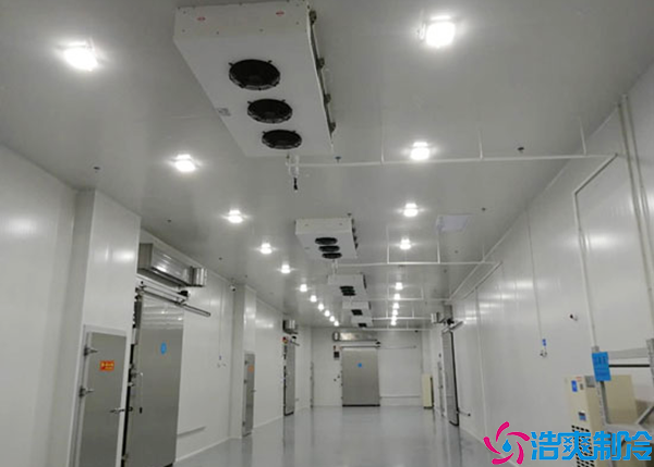  湖南醫(yī)藥冷凍庫建造價格多少錢一噸？