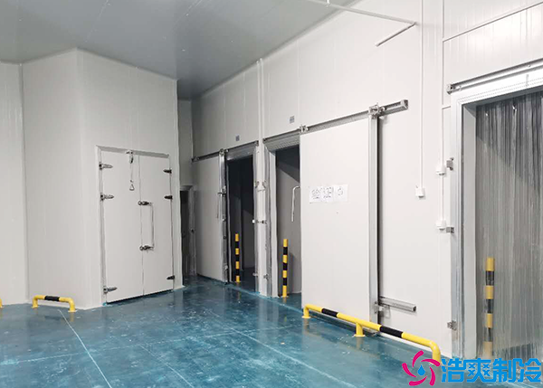  300懷化血漿冷庫建造價格多少錢？