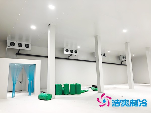 醫(yī)藥冷凍庫(kù)的安裝特性有哪些？