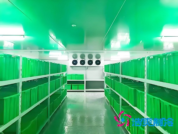  上海醫(yī)藥冷庫（醫(yī)療器械冷庫）造價(jià)問題解析