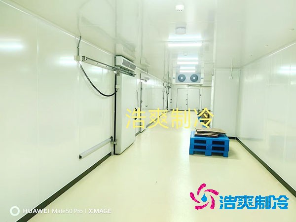 2025年全國醫(yī)藥冷庫造價解析與投資指南！