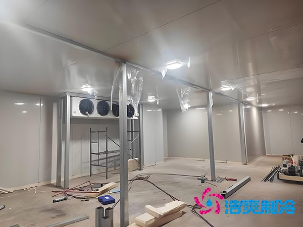  新建生物醫(yī)藥冷庫的造價預(yù)算與深度解析