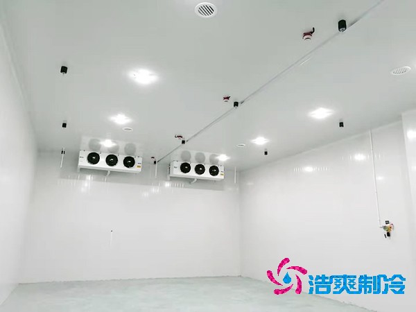 醫(yī)藥冷庫建造指南及造價解析