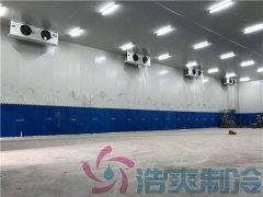  藥廠建造-20℃血漿醫(yī)藥冷庫(kù)，血漿醫(yī)藥冷庫(kù)安裝定制預(yù)算是多少？